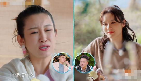 秦海璐澄清,秦海璐承认整容真的吗