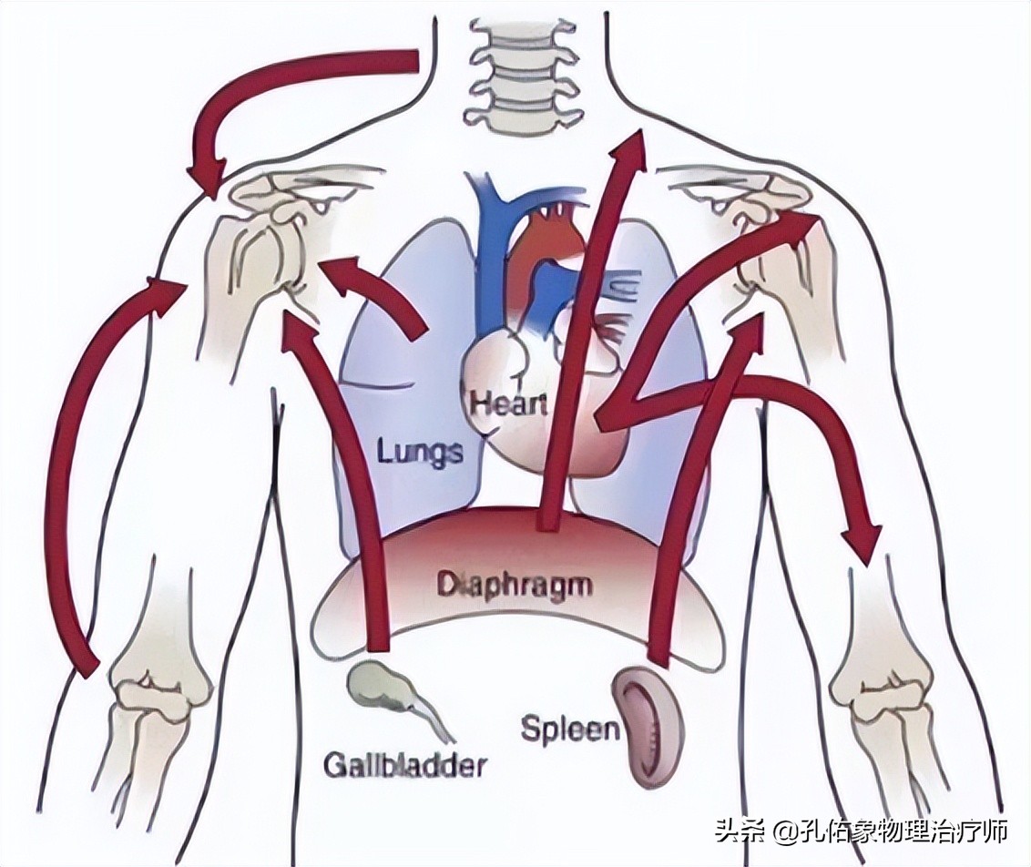 肩膀颈椎病症状,肩膀疼引起的颈椎病怎么治