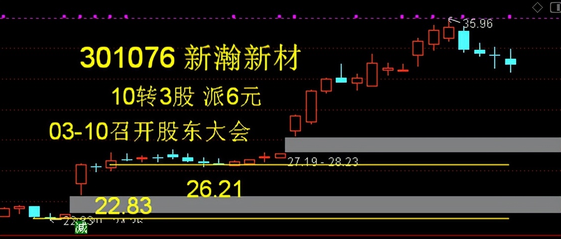 新瀚新材募集资金投向 (301076新瀚新材上市预测)