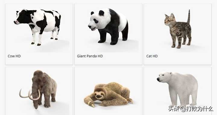 无版权的图片素材网站有哪些,无版权图片素材库真的无版权吗