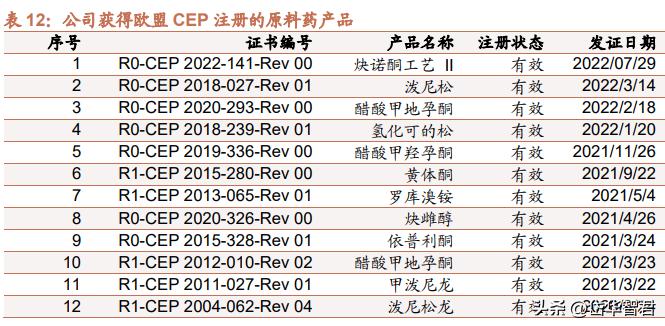仙琚制药高端制剂国际化建设项目,仙琚制药甾体激素
