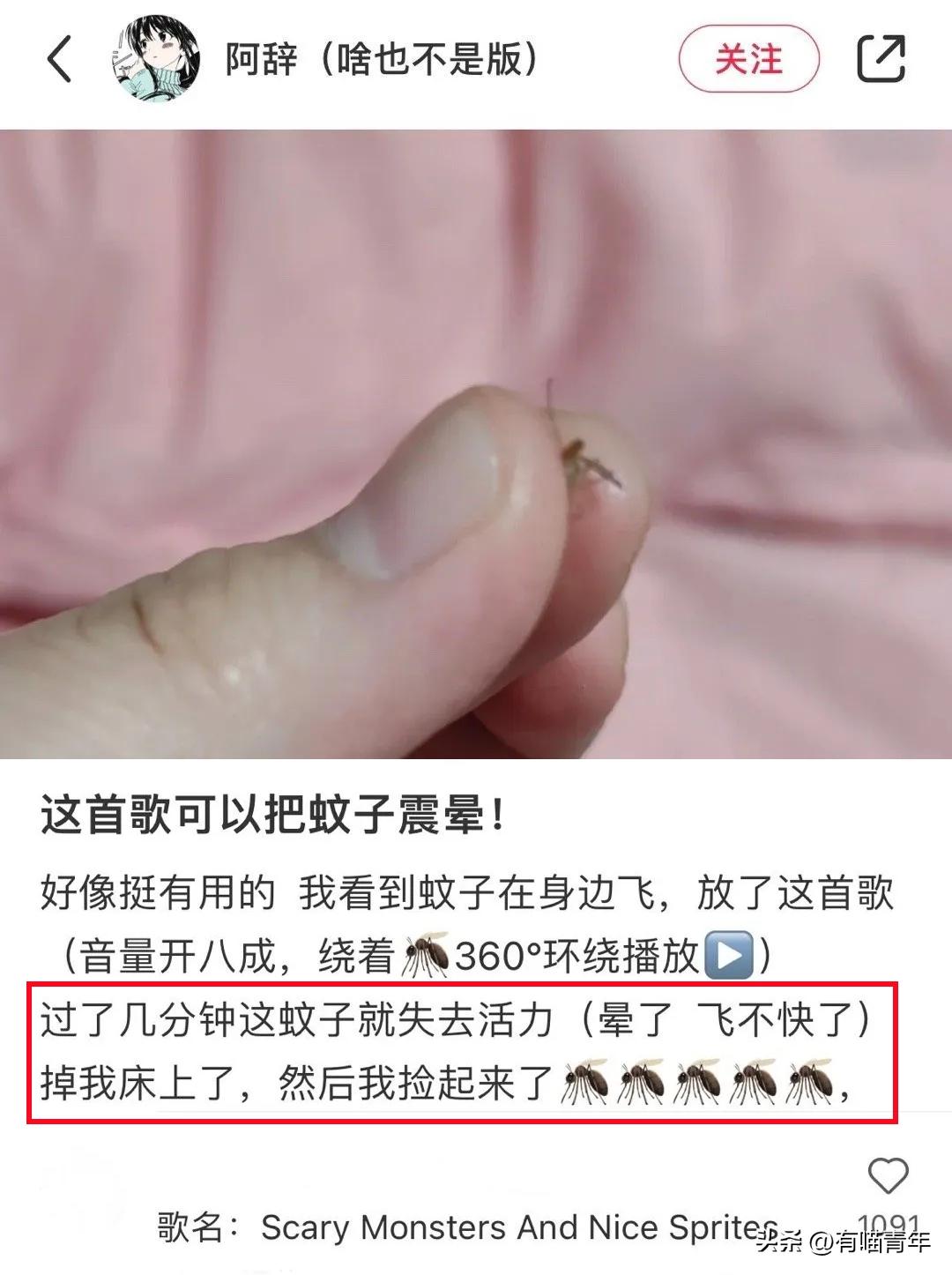 养猫不能放蟑螂药怎么办,养猫不能用的驱蚊方法