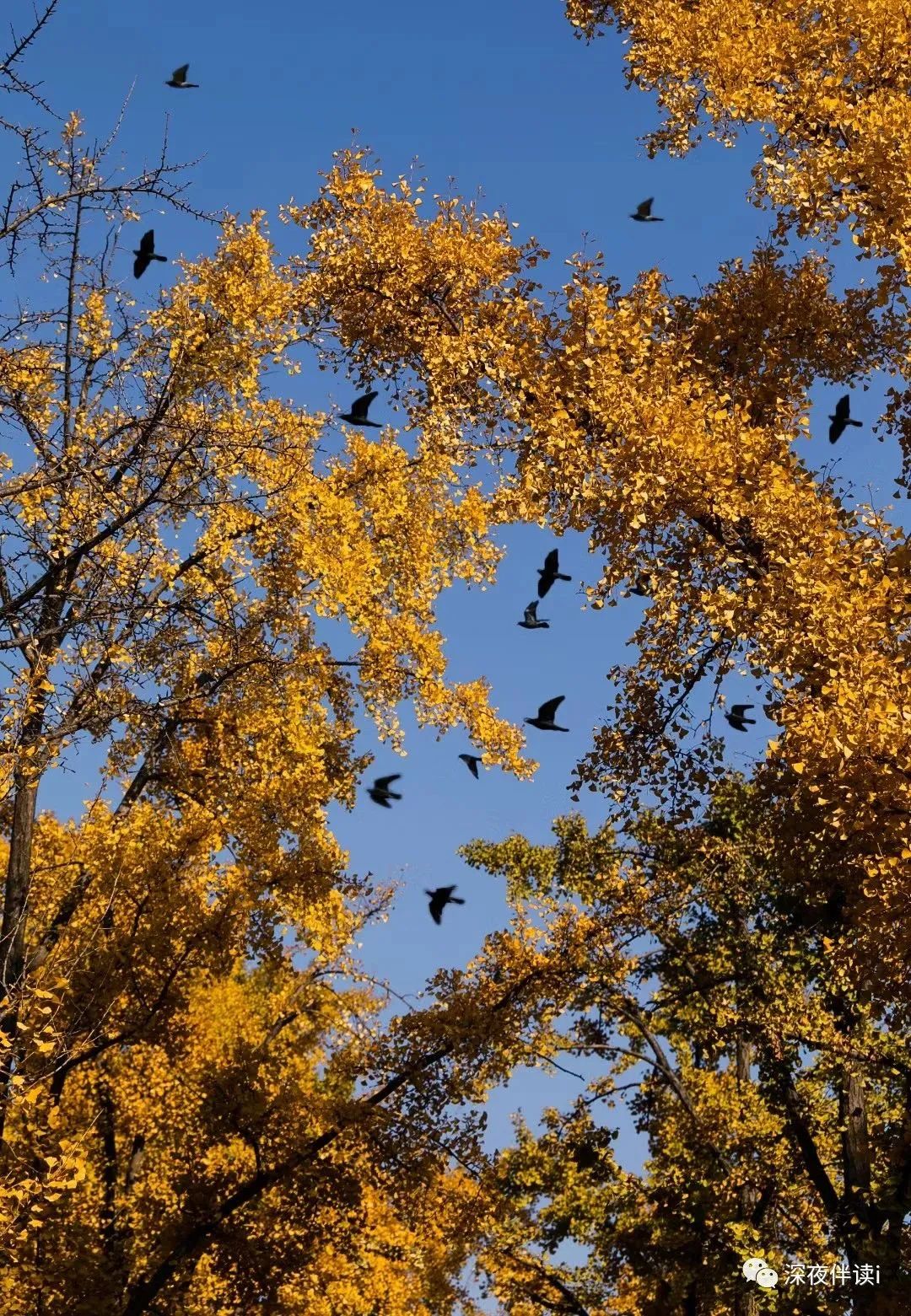 在这有可能的夜晚钢琴和弦,在有可能的夜晚