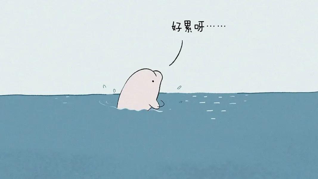 仙侠小说推荐女生穿越文,双男主仙侠师徒穿越文推文