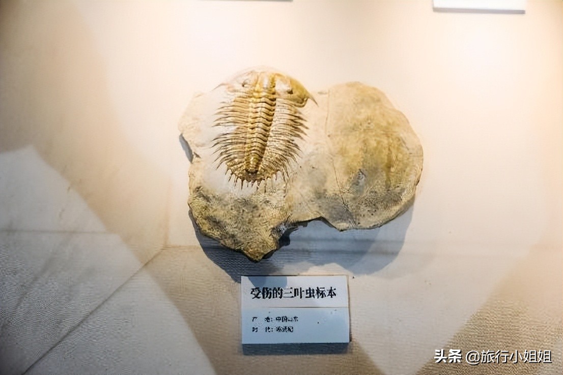 夏日海边浪漫迷人,滨城风光秀丽浪漫气息爆表