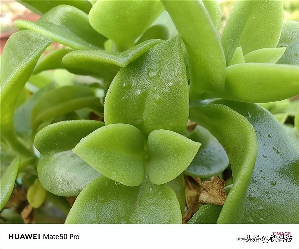 618换手机推荐旗舰机,618换机推荐华为