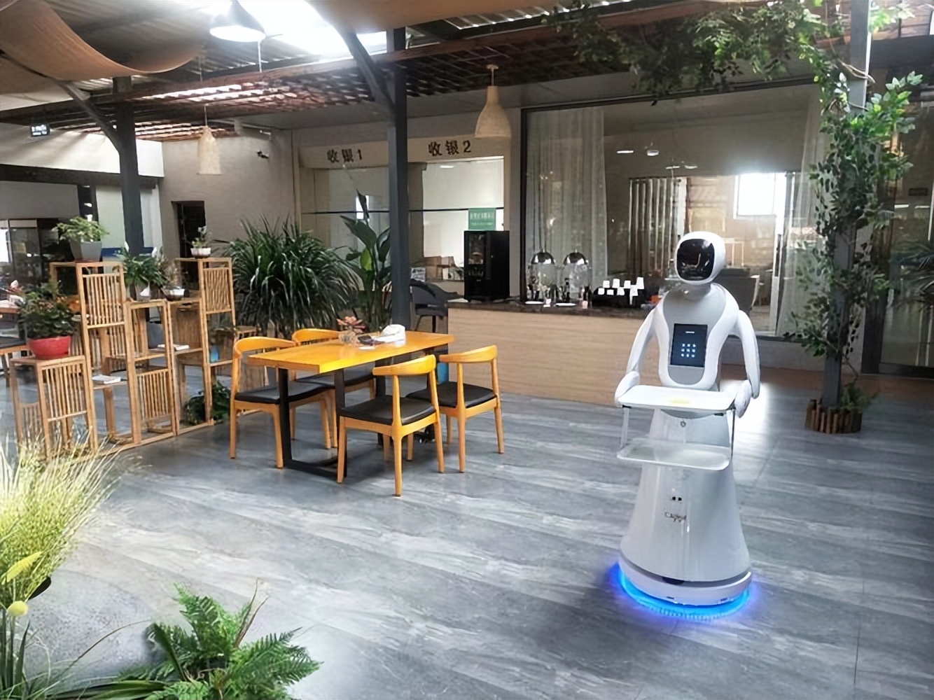 服务机器人设计哪家好,服务机器人哪家便宜