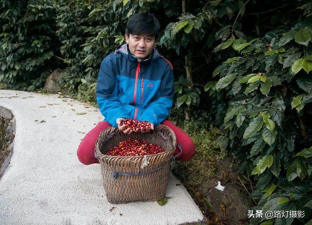 中国适合冬季避寒的地方,这才是国内避寒的七座安逸城市
