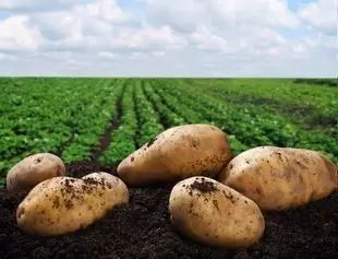 甘肃省各市颜值排名,甘肃省各市照片