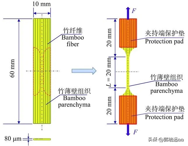 钢、竹、藤在混凝土中作钢筋的比较研究：拉伸和弯曲特性
