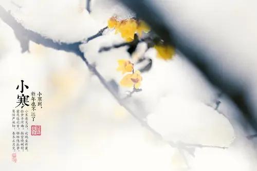 小寒节气祝福图片动态图,小寒节气温馨祝福语图片