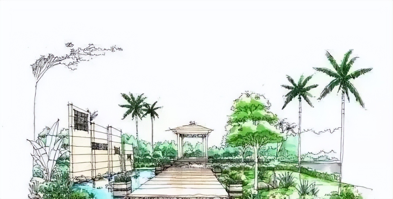 关于素描的专业知识,素描术语介绍图片简单一点