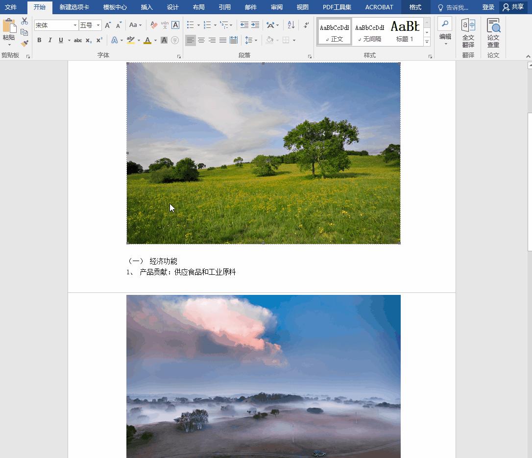 word基础知识隐形功能,word隐藏属性