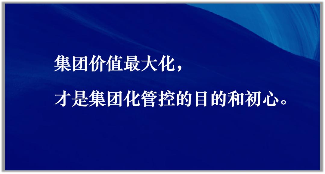 集团化企业如何加强管理,医院集团化运营管控模式