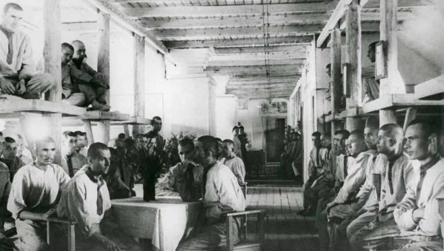 三叶草阿迪达斯怎么介绍,三叶草阿迪达斯黑棕色