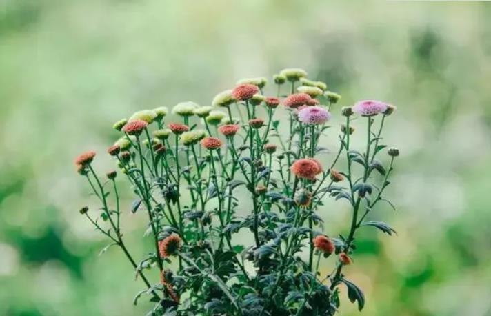 穷人如果想发财必须要做这几件事,如果你现在很穷该怎么办