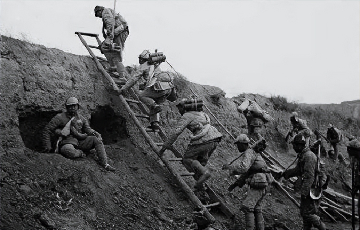 1纵班长发现不远处有一棵小松树，灵机一动大喊：快把梯子搬过来