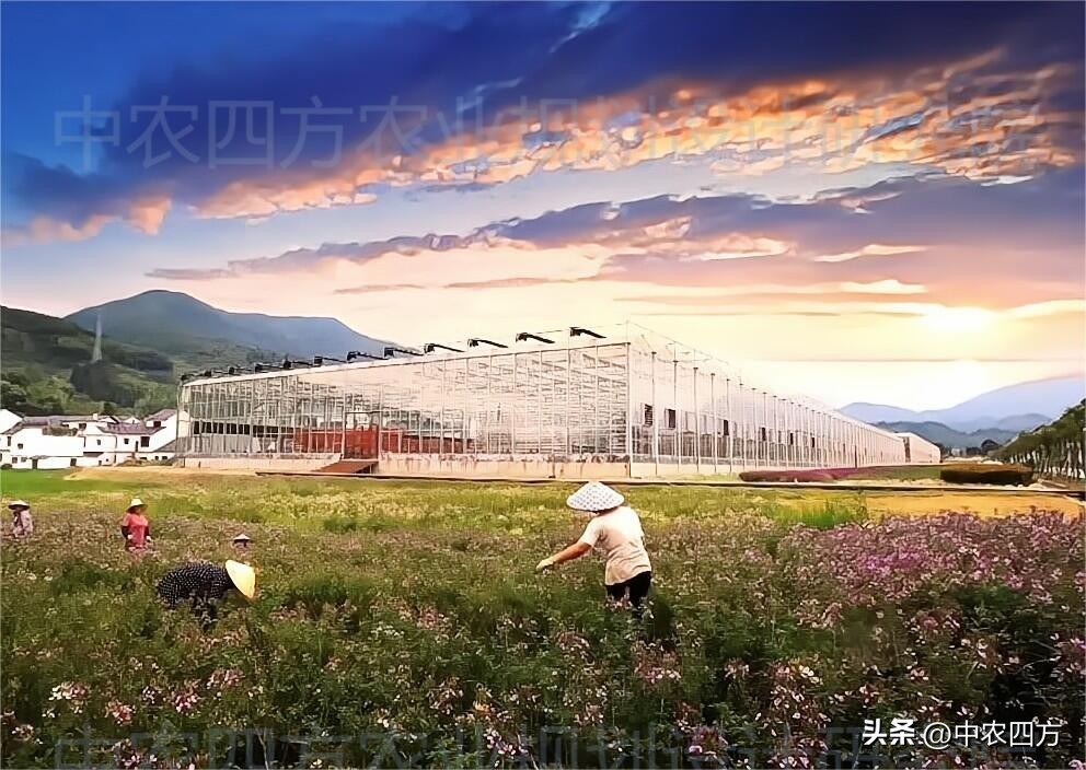 现代农业助推传统农业转型升级,农业新业态新模式