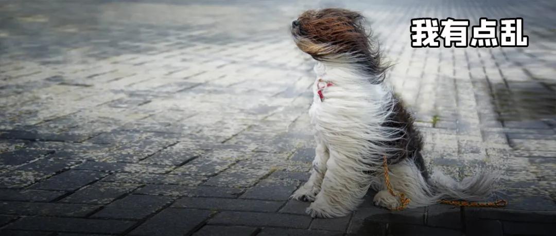 骨科主任来临终关怀科查房,把我转到了风湿免疫科……