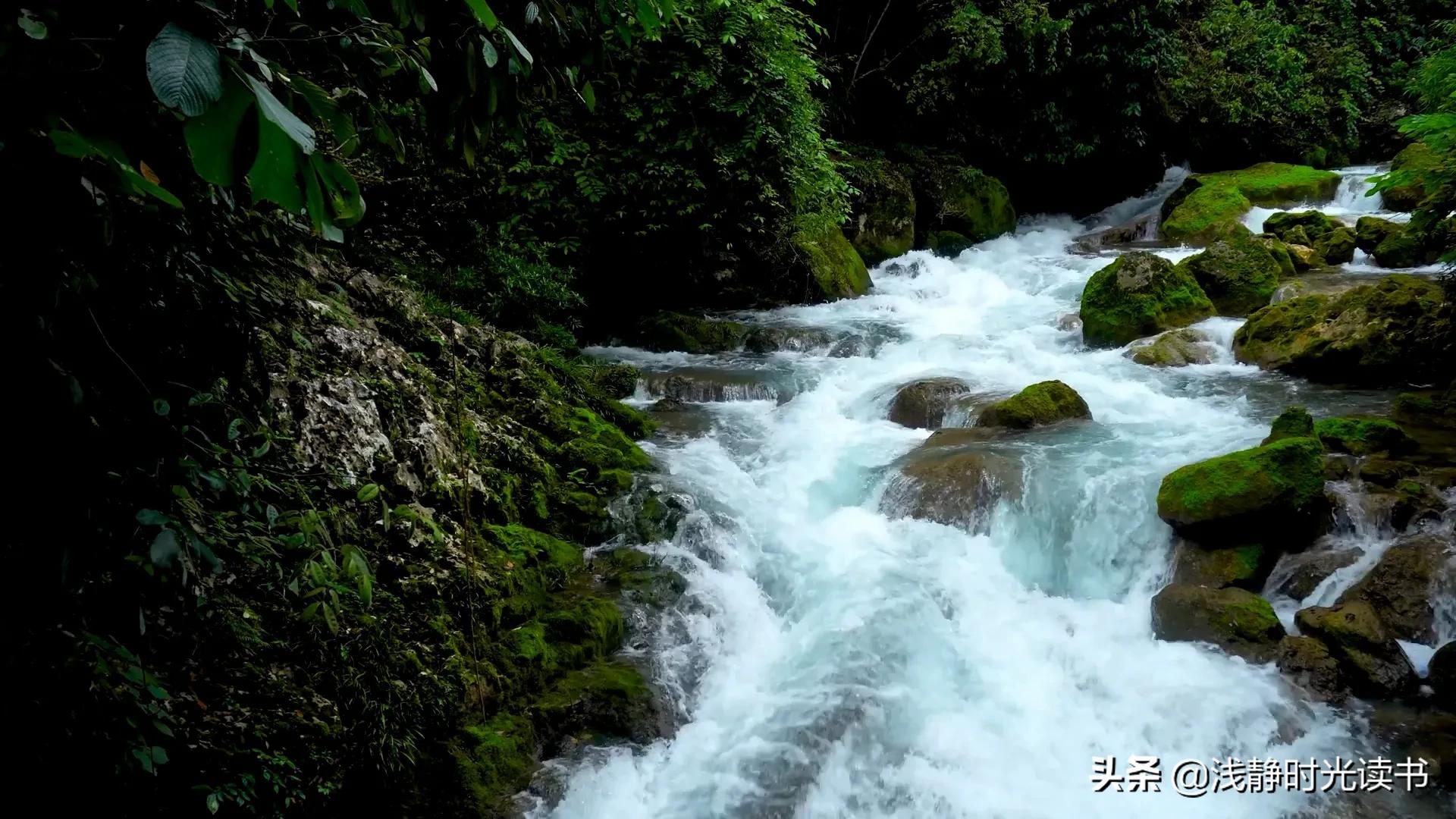 古人遇到小人,古人是如何识人和应对小人的