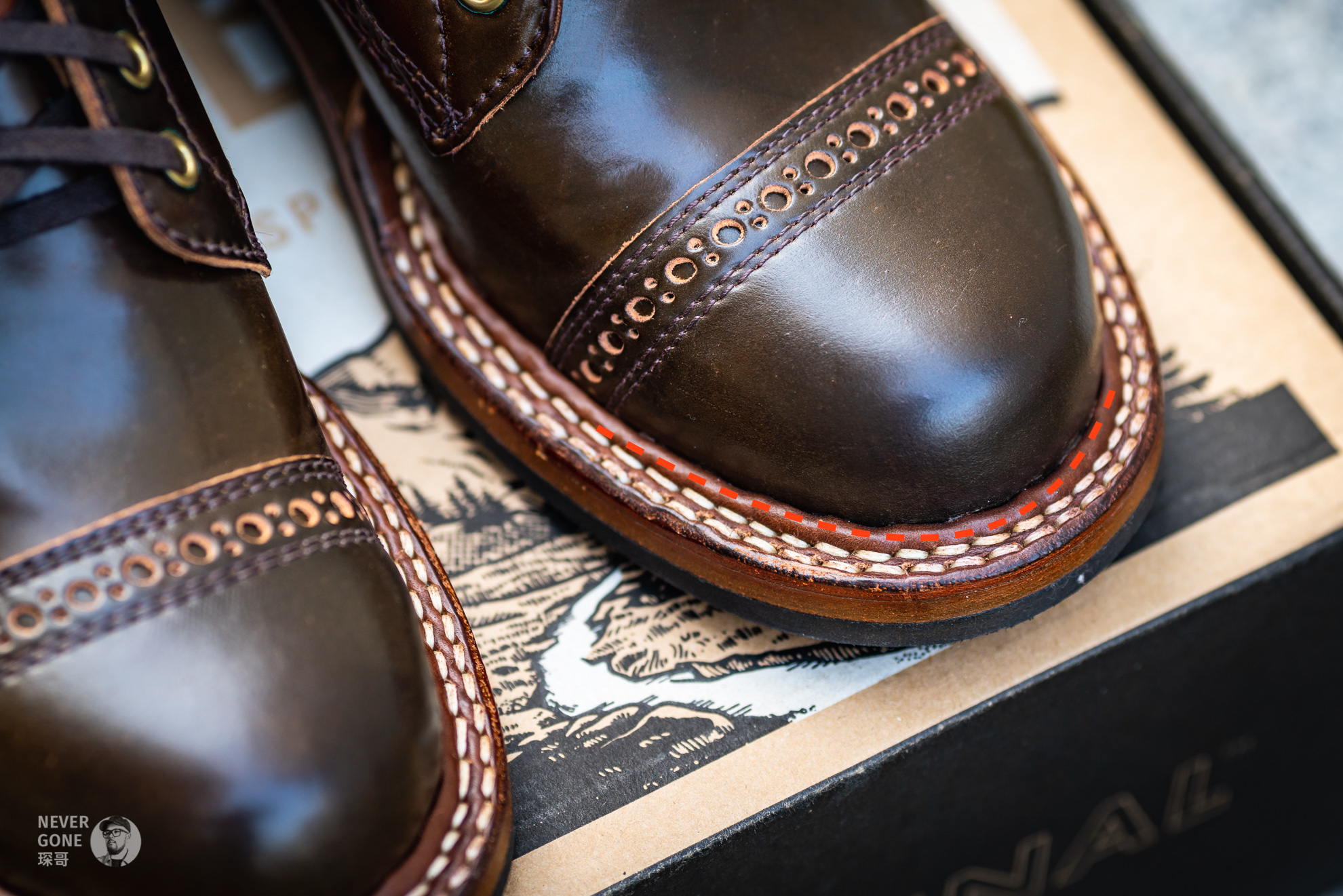 回到最初的梦想视频,回到最初的梦想爵士