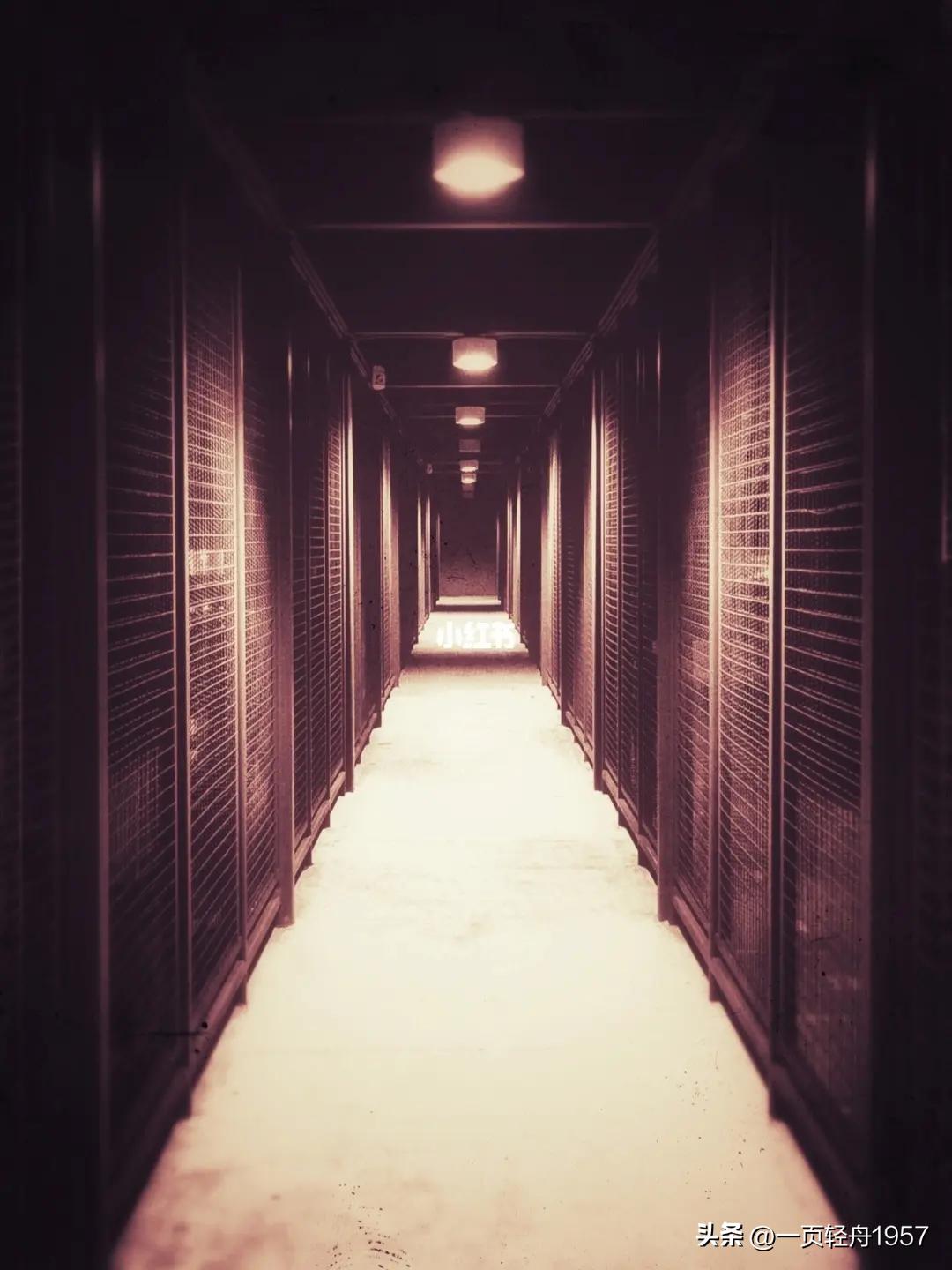 我在冥界当大佬100集,我在冥界当团宠全文免费阅读