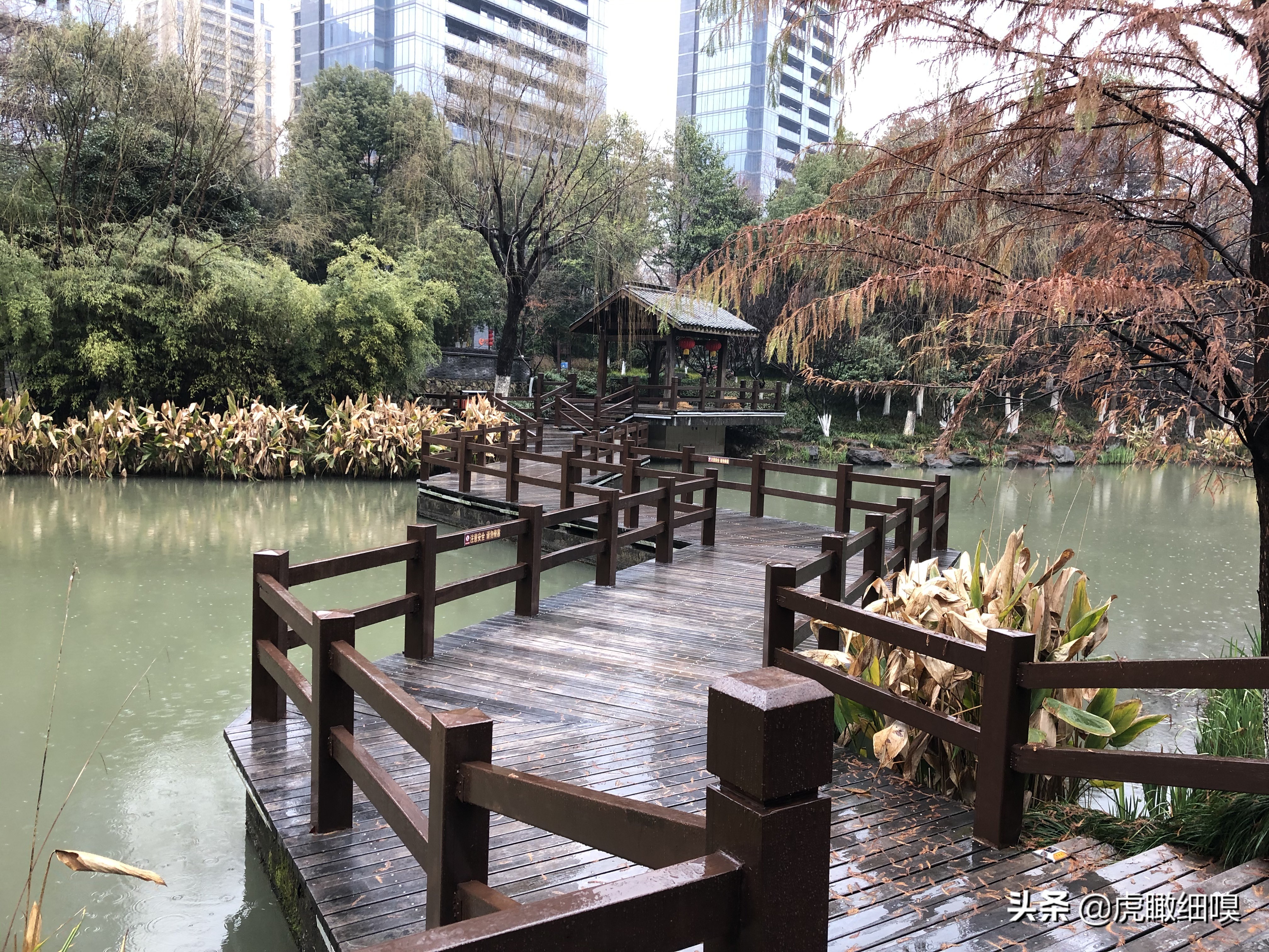 临平水景公园秋天,临平公园当地知名度最高的公园