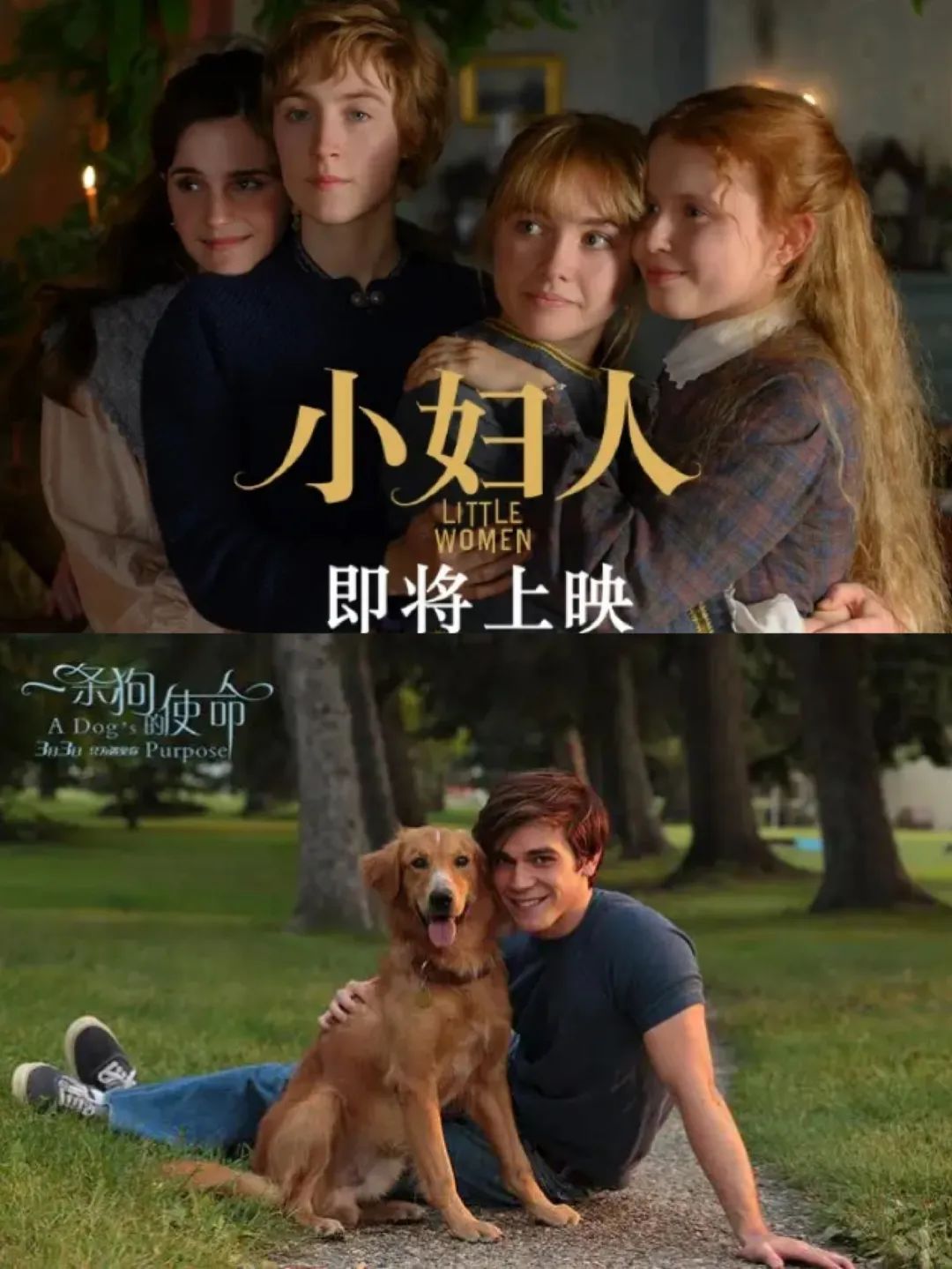 从《饭戏攻心》到《还是觉得你最好》，改了名也丢了魂？