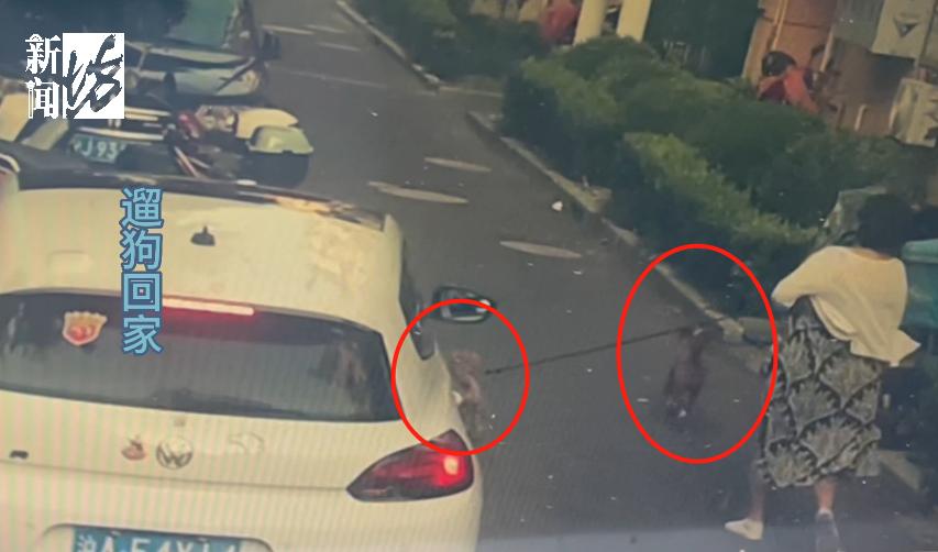 女子小区被狗咬,小区狗咬到人报警警察怎么处理呢