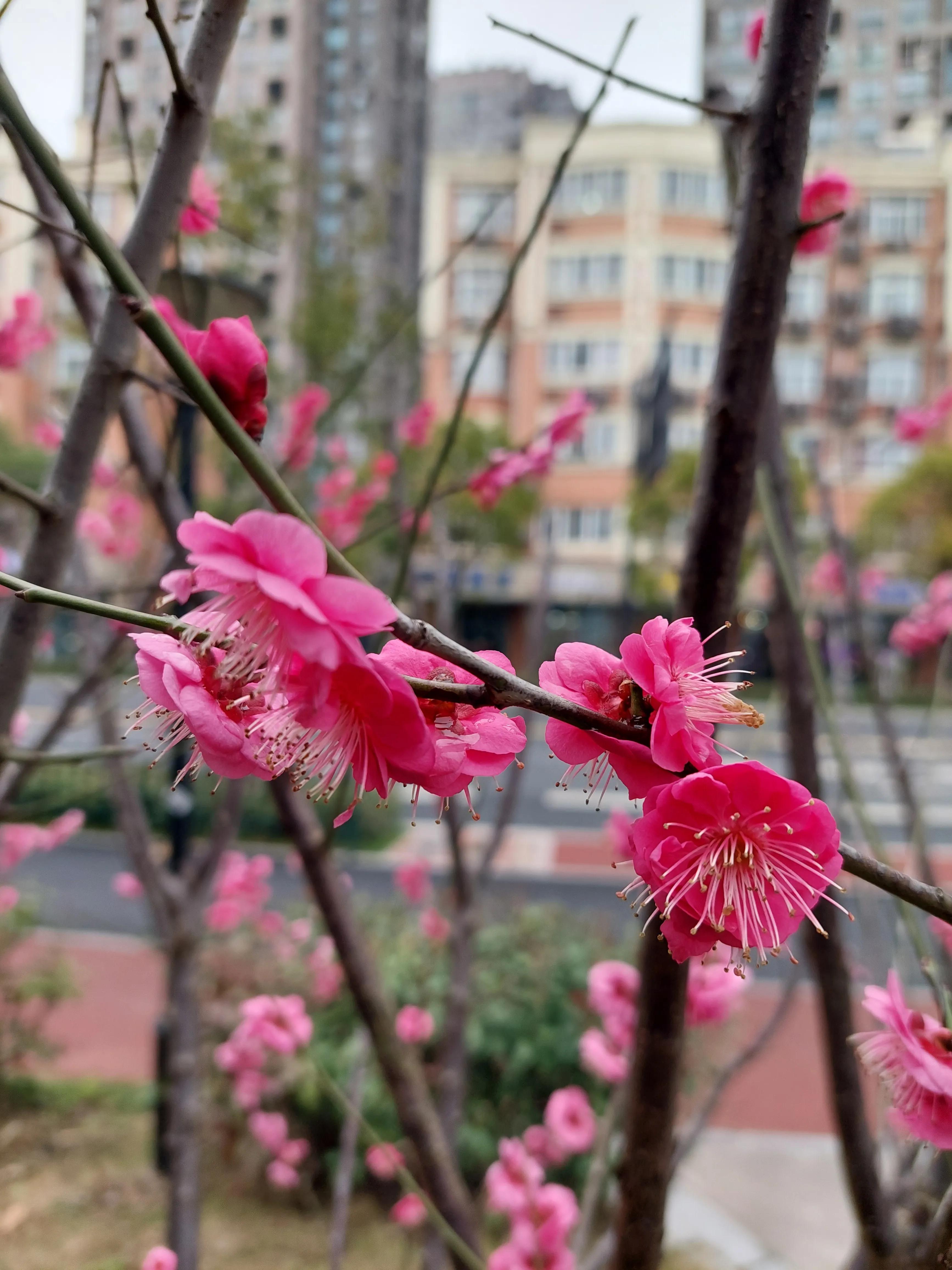 找工作的时候要和hr说工作难找吗,资深hr吐槽3种求职者