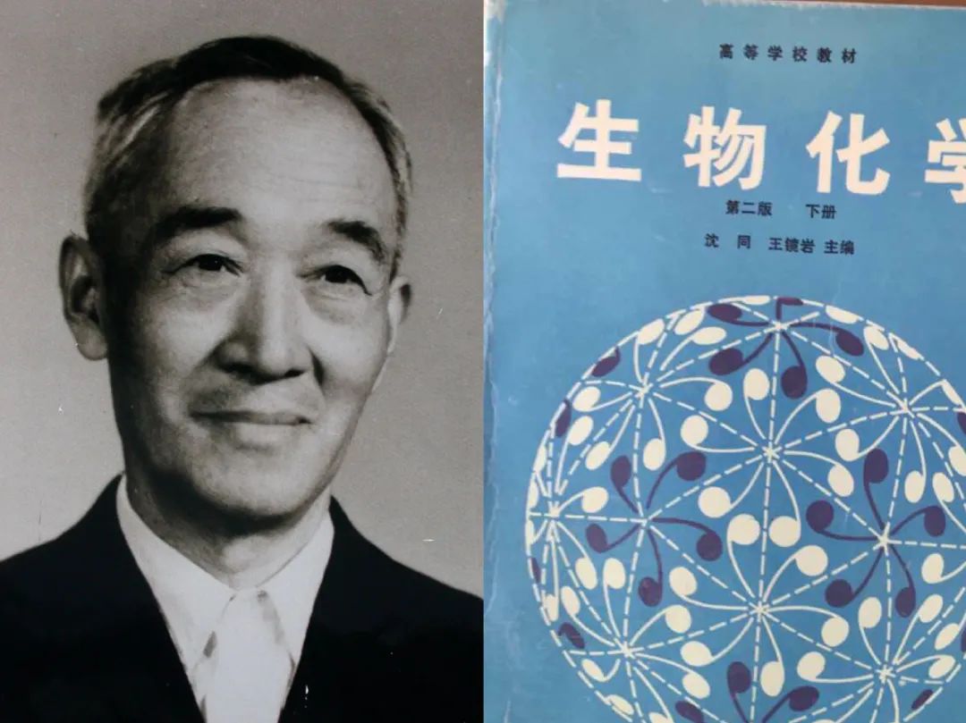 谷爱凌母亲谷燕在华尔街,谷爱凌母亲谷燕出国