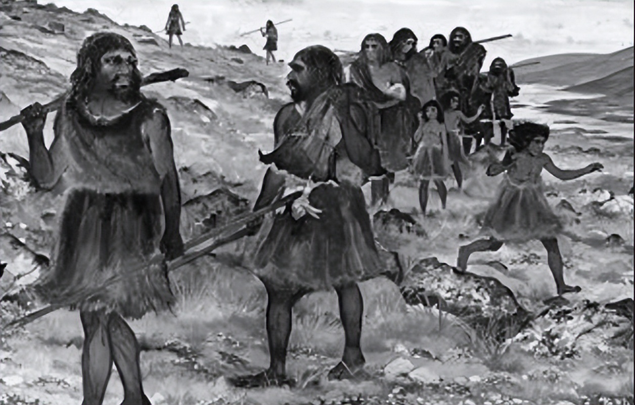 一场意外的基因突变,一个基因突变就可以改变人类性别