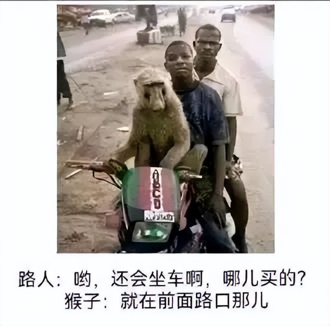 西瓜奇葩搞笑图片,超级搞笑吃西瓜笑的肚子都疼了