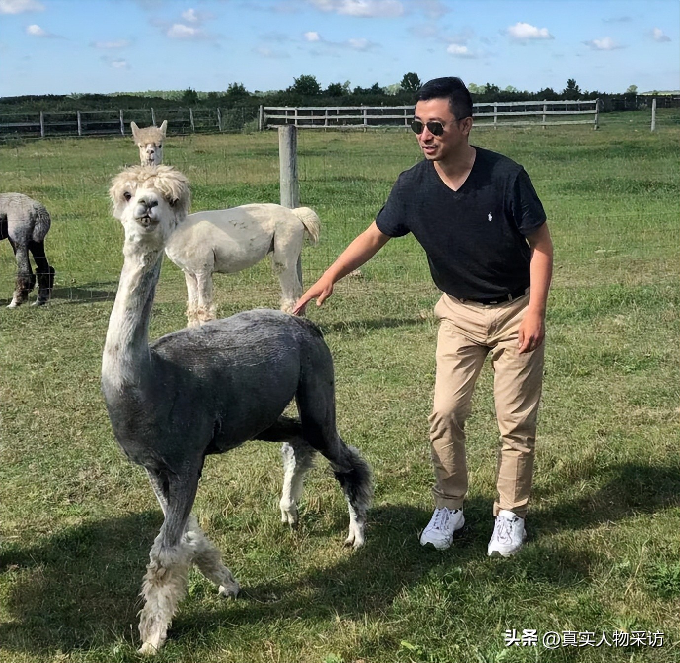 我放弃如日中天的事业，移民加拿大，结果这里和我想的完全不一样