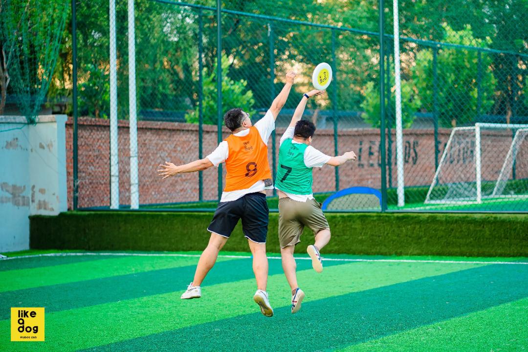 “黑红”的飞盘，商业化的前夜