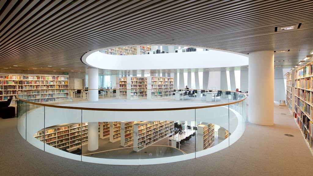 带大家看英国博物馆,英国大学最好图书馆