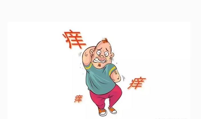 湿疹是什么引起的得了湿疹怎么办,得了湿疹怎样用中药调理