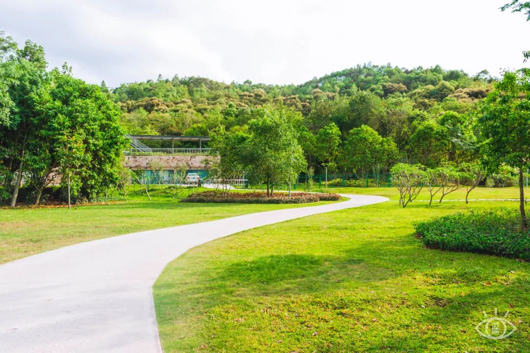 深圳10公里跑步路线,深圳跑步路线推荐塑胶跑道