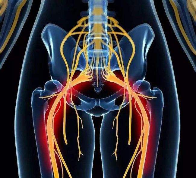 古猿进化成人类的标志,人类的屁股为什么那么大