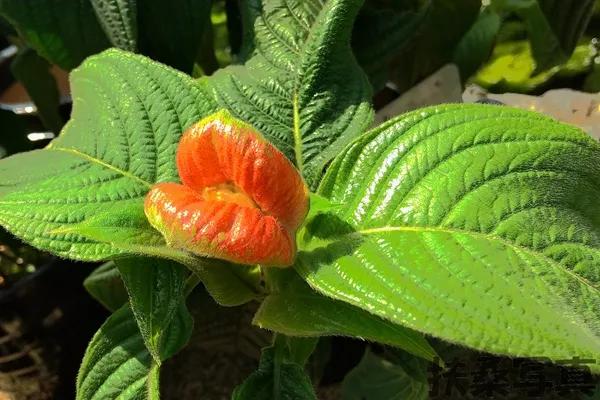 【话说日本景点的“门票价格”】