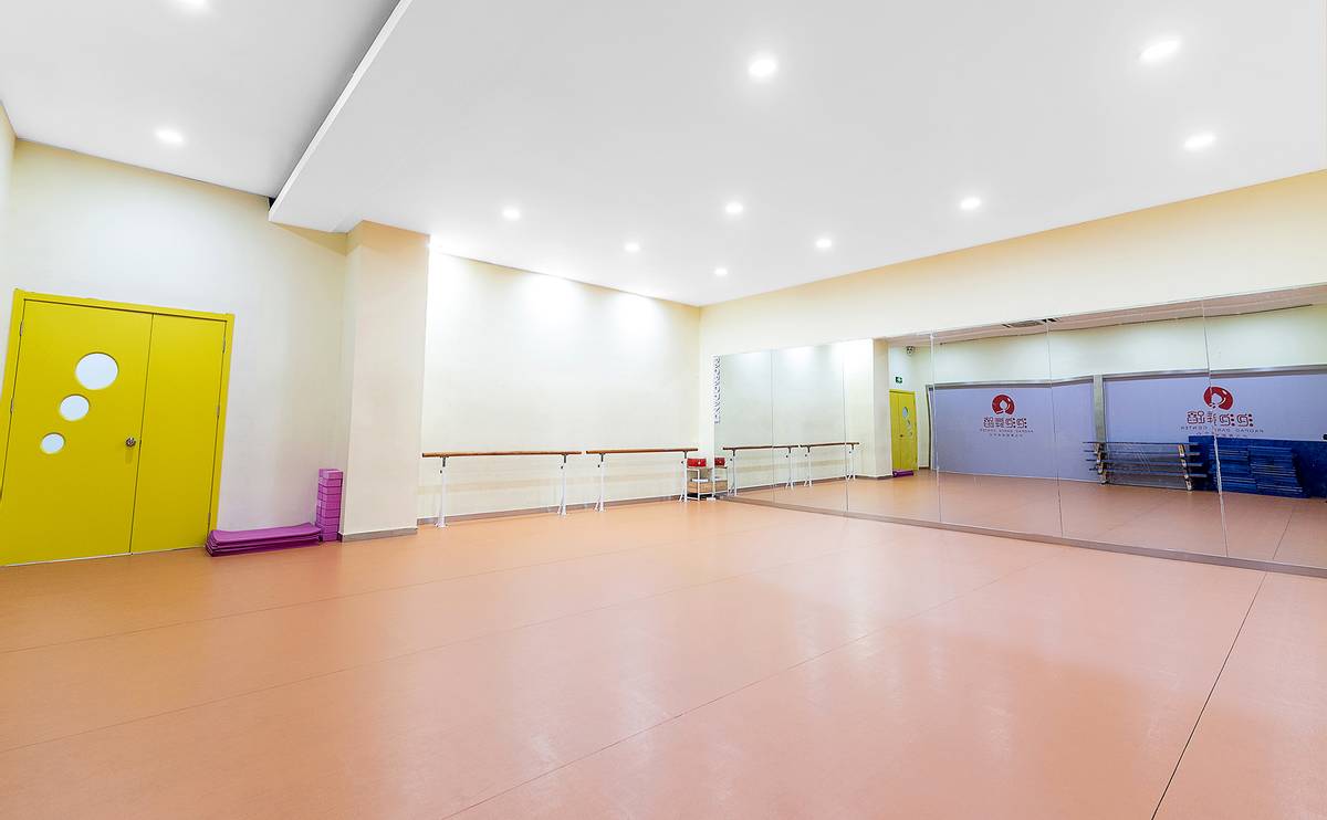 少儿舞蹈加盟店哪个品牌好加盟,专业少儿舞蹈加盟