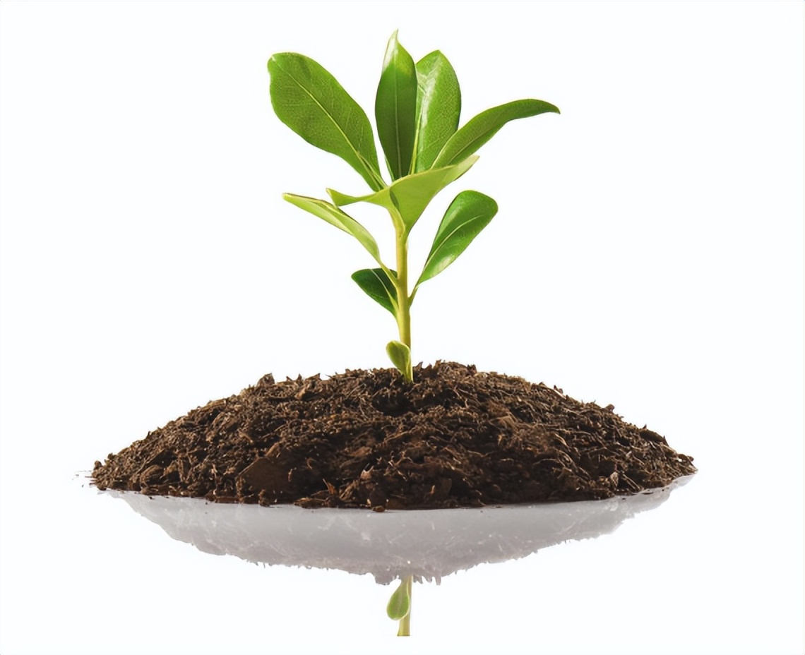 推荐营养土哪里靠谱,靠谱的营养土什么牌子好