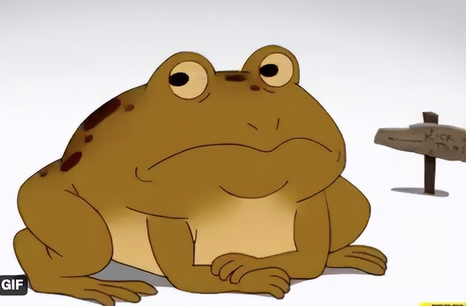 美国禁毒成功案例,国际上的禁毒案例