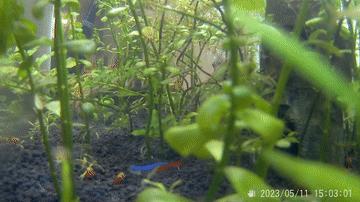 sjcamc300拍照效果,sjcam运动相机c300真实体验