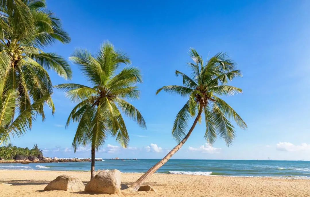 抖音电商山货,抖音农产品销售平台