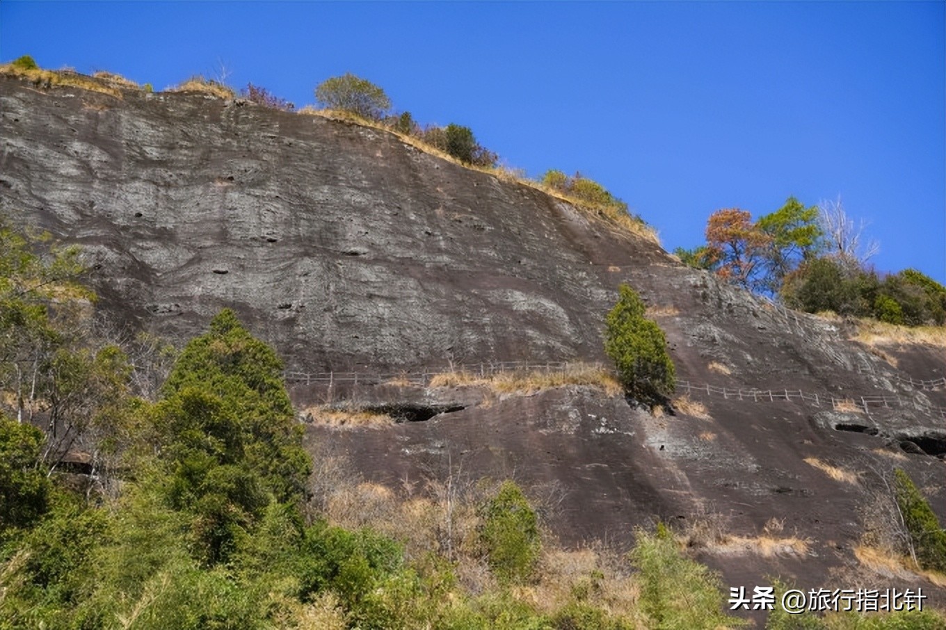 福建旅游攻略武夷山,福建武夷山旅游攻略一日游