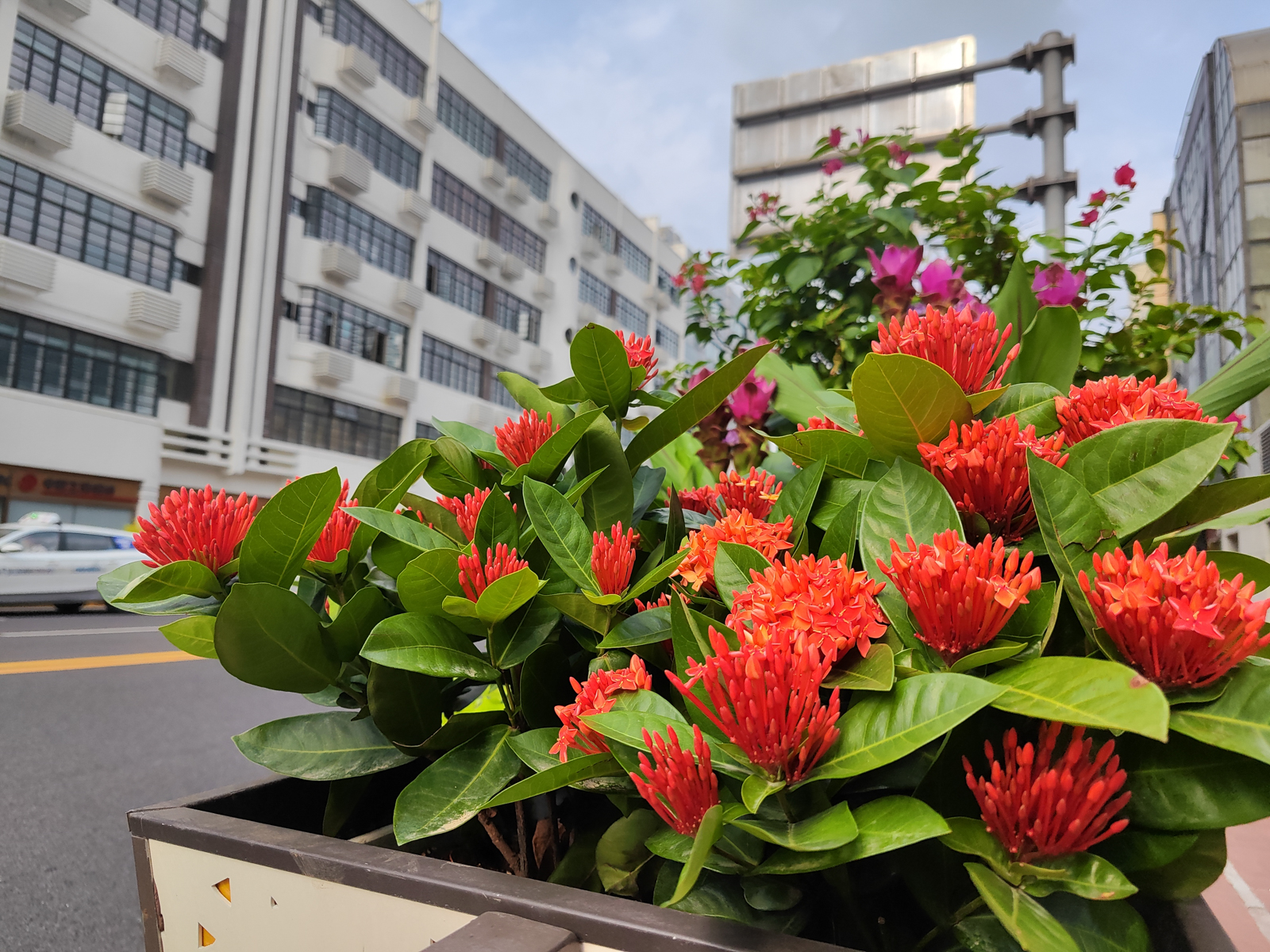 小米civi2质感测评,小米civi2粉色顶配测评