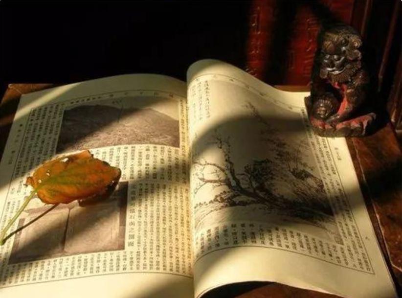 感悟人生的经典人生哲理短句,人生哲理的句子经典语录人生感悟