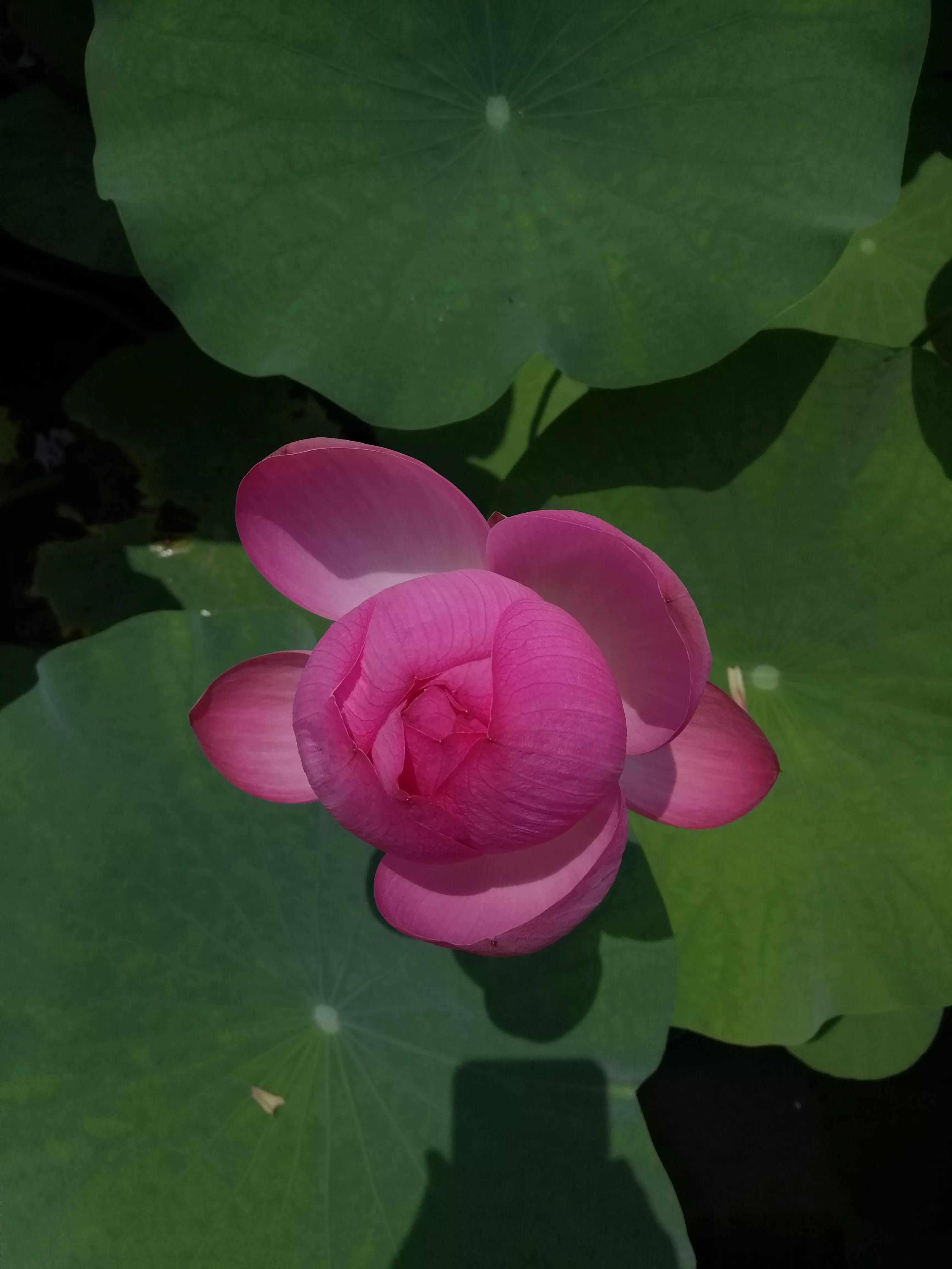 梅西的好词好句,梅西的好