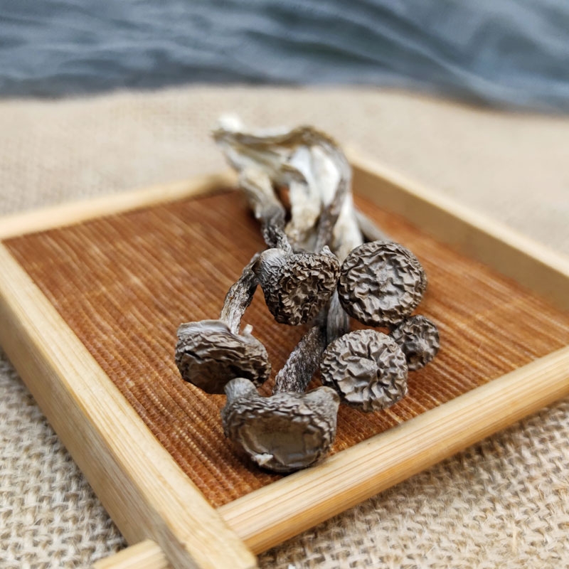 小萌食记｜长得很可爱的鹿茸菌，是无死角的美食